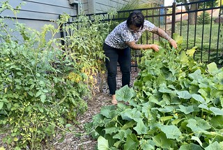 Garden - Garden girl