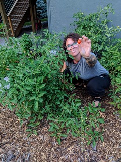 Garden - First cherry tomato
