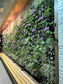 Home Ideas - A neat plant wall idea