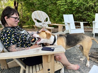 Havin an evening beer in the back yard