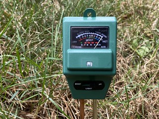 My soil is pretty acidic