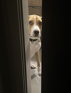 Durby is happy to be creepin on me again