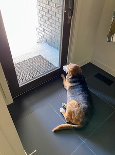 Always waiting for Kari