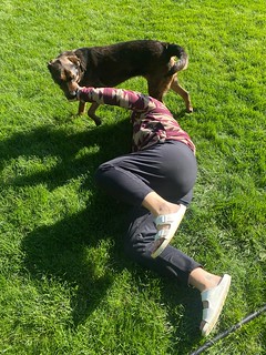 Benny Brooks - Ruff housin