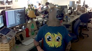 Horse Mask - What?