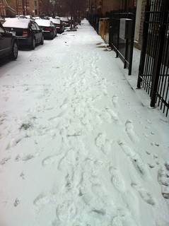 I think winter has finally begun in Chicago