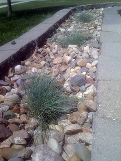 Mobile - Lunchtime landscape... on a 90 degree day in May.