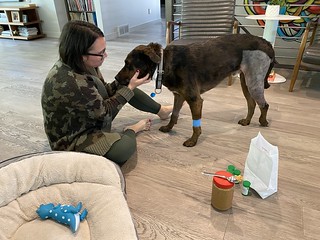 Benny Brooks - Tryin to get this sedated dude to take some post-surgery medicine