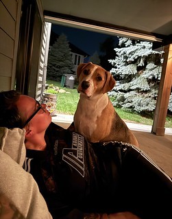 Midnight patio hangs
