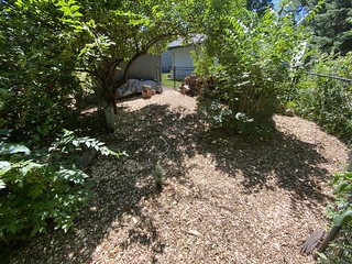 Covid-19 - A bit of mulch behind the shed