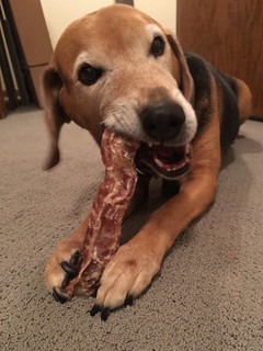 Garth Brooks likes eatin cow tracheas