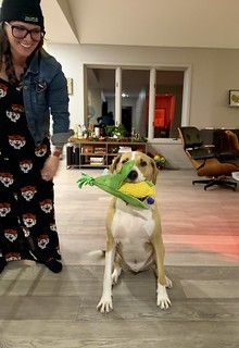 Durby is very proud of this ear of corn