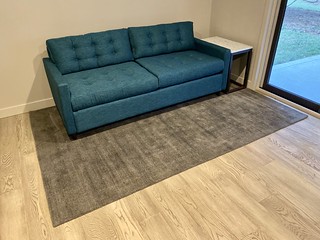 New couch day!