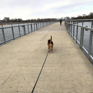 Birthday walk at Gray's lake