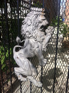 *yaaawn* ...you and me both, Mr Lion.