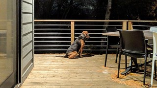 2737 - Always scanning