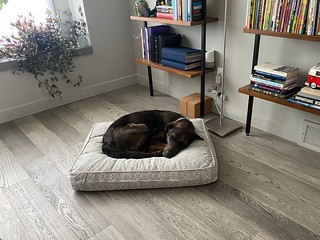 Benny Brooks - Sleepy office boy