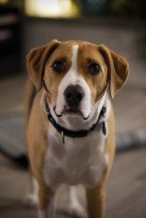 frame - Birthday boy