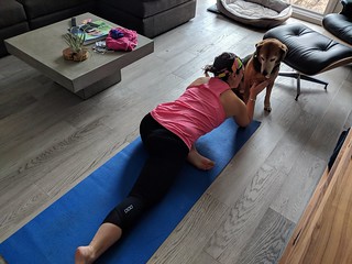 2737 - Mornings in the Brooks house