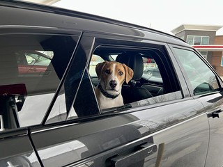 Range Rover - Derpy durb