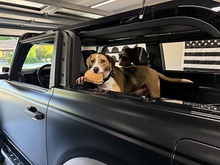 Durby brought his tanuki for a ride