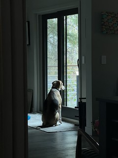 2737 - Emo boy is sad about the rainy day