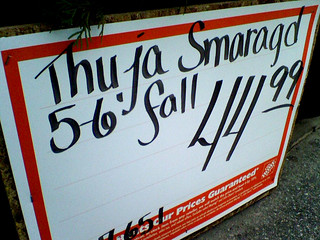 Thuja Smaragd.  5-6' Fall.  ...wtf does this say?