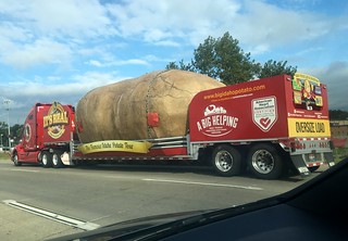 Semi - Look at this huge potato