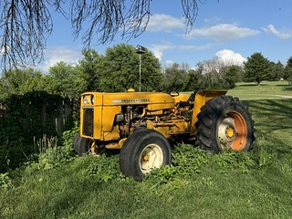 Willow Creek - International