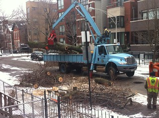 I really wish I could take the day off and hang out with these chainsaw dudes.