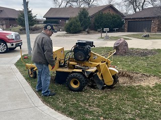 This is Jimmy. He’s a Vietnam Vet who ground up this tree stump for me. He was a really good dude.