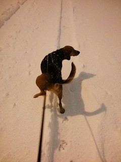 An evening stroll with Garth Brooks