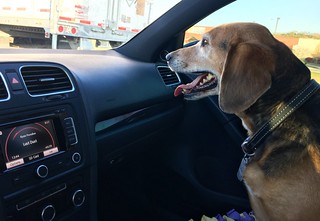 2011 VW GTI - Garth Brooks ridin shotty