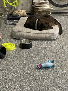 Benny Brooks - Workin in the garage while the house is cleaned, heh