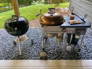 Covid-19 - The setup