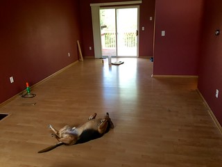 1403 - BUT I DON'T WANNA LEAVE