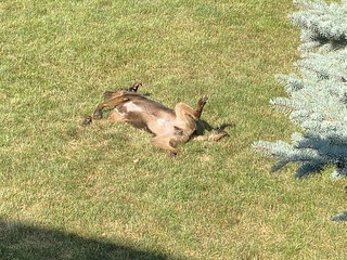 Benny Brooks - Feels good