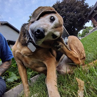 Hey. I’m itchin this ear