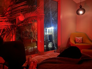 Covid-19 - My neighbors put up a new light. I’m thrilled about it.