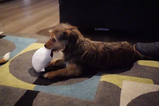 Gettin a side eye from young Mabel