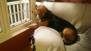 Garth is not amused.