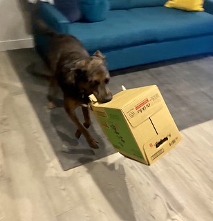 Benny Brooks - GOT A BOX