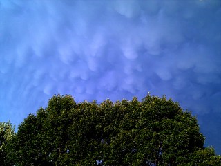 Mammatus Clouds