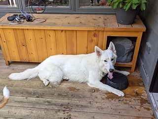 Seven is v tired + thirsty