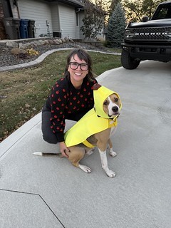 I came home to find Durby dressed as a banana