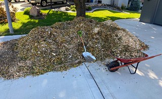 This is gonna take a while