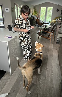 2737 - Reading that doggy daycare report card