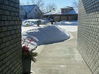 Covid-19 - Still got some snow