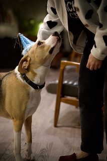 Not sure about this hat