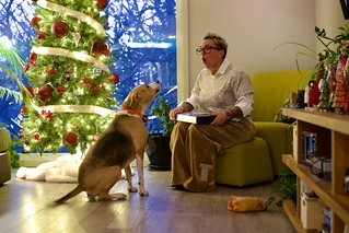 Sassy boy wants his advent calendar treat